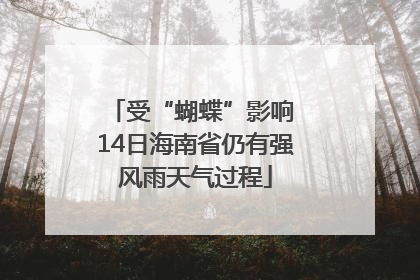 受“蝴蝶”影响 14日海南省仍有强风雨天气过程