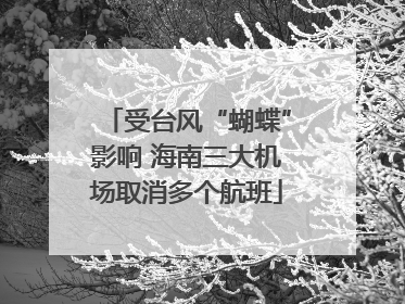 受台风“蝴蝶”影响 海南三大机场取消多个航班