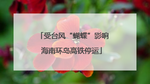 受台风“蝴蝶”影响 海南环岛高铁停运