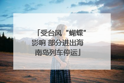 受台风“蝴蝶”影响 部分进出海南岛列车停运