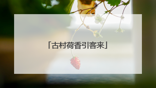 古村荷香引客来