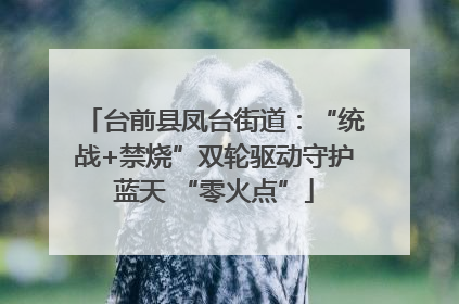 台前县凤台街道：“统战+禁烧”双轮驱动守护蓝天 “零火点”