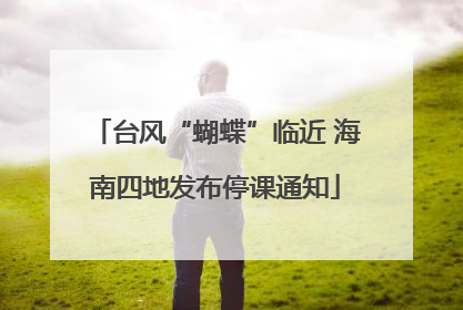 台风“蝴蝶”临近 海南四地发布停课通知