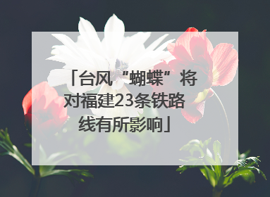 台风“蝴蝶”将对福建23条铁路线有所影响