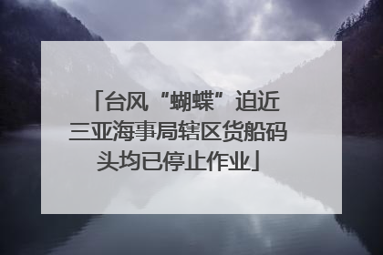 台风“蝴蝶”迫近 三亚海事局辖区货船码头均已停止作业