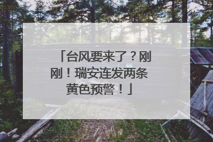 台风要来了？刚刚！瑞安连发两条黄色预警！