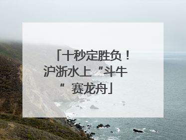 十秒定胜负！沪浙水上“斗牛”赛龙舟