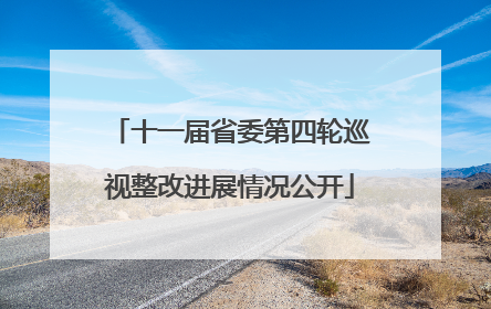 十一届省委第四轮巡视整改进展情况公开