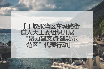 十堰张湾区车城路街道人大工委组织开展 “聚力建支点·建功示范区”代表行动
