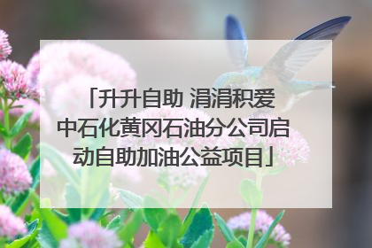 升升自助 涓涓积爱 中石化黄冈石油分公司启动自助加油公益项目