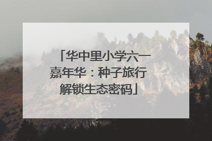 华中里小学六一嘉年华：种子旅行解锁生态密码