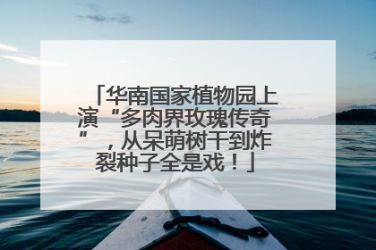 华南国家植物园上演“多肉界玫瑰传奇”，从呆萌树干到炸裂种子全是戏！