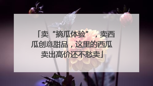 卖“摘瓜体验”，卖西瓜创意甜品，这里的西瓜卖出高价还不愁卖