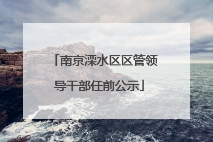 南京溧水区区管领导干部任前公示
