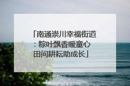 南通崇川幸福街道：粽叶飘香暖童心 田间耕耘助成长