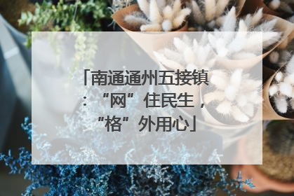 南通通州五接镇：“网”住民生，“格”外用心