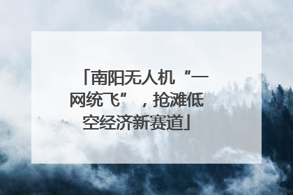 南阳无人机“一网统飞”，抢滩低空经济新赛道