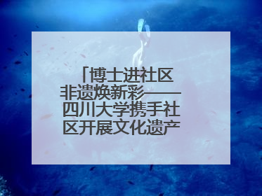 博士进社区 非遗焕新彩——四川大学携手社区开展文化遗产日特别活动