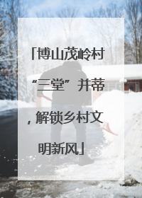 博山茂岭村“三堂”并蒂，解锁乡村文明新风