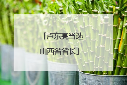 卢东亮当选山西省省长