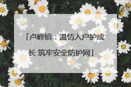 卢峰镇：温情入户护成长 筑牢安全防护网