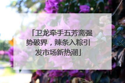 卫龙牵手五芳斋强势破界，辣条入粽引发市场新热潮