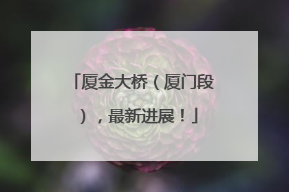 厦金大桥（厦门段），最新进展！