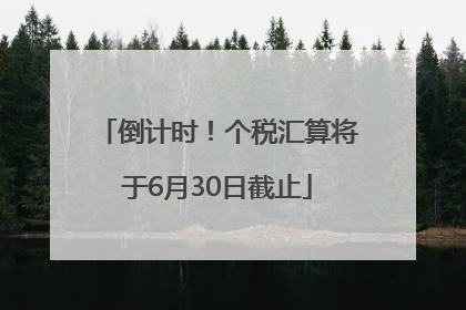 倒计时！个税汇算将于6月30日截止