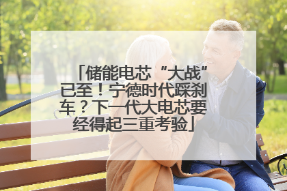 储能电芯“大战”已至！宁德时代踩刹车？下一代大电芯要经得起三重考验