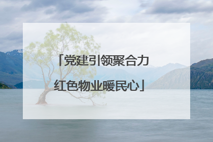 党建引领聚合力 红色物业暖民心