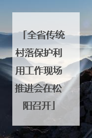 全省传统村落保护利用工作现场推进会在松阳召开