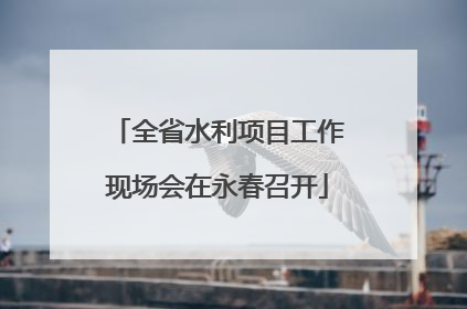 全省水利项目工作现场会在永春召开