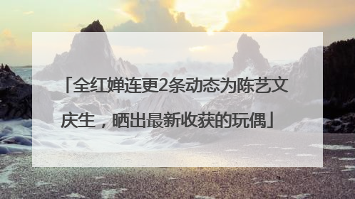 全红婵连更2条动态为陈艺文庆生，晒出最新收获的玩偶