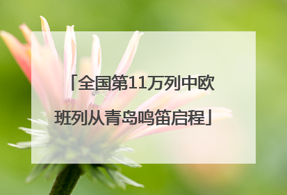 全国第11万列中欧班列从青岛鸣笛启程