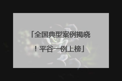 全国典型案例揭晓！平谷一例上榜