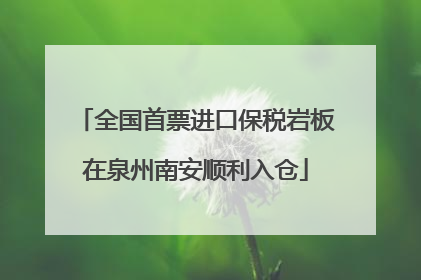 全国首票进口保税岩板在泉州南安顺利入仓