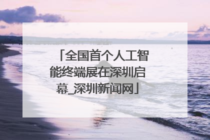 全国首个人工智能终端展在深圳启幕_深圳新闻网