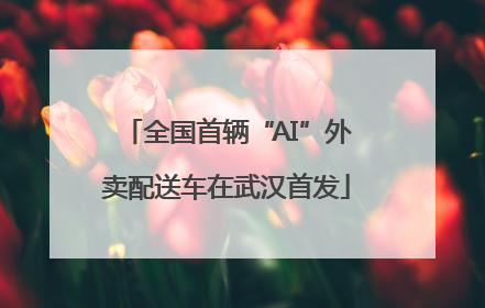 全国首辆“AI”外卖配送车在武汉首发