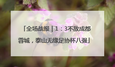 全场战报｜1：3不敌成都蓉城，泰山无缘足协杯八强