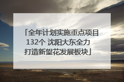 全年计划实施重点项目132个 沈阳大东全力打造新望花发展板块