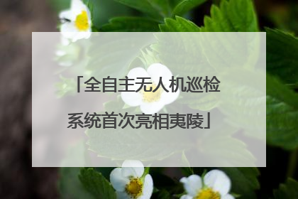全自主无人机巡检系统首次亮相夷陵