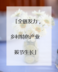 全链发力，乡村特色产业拔节生长