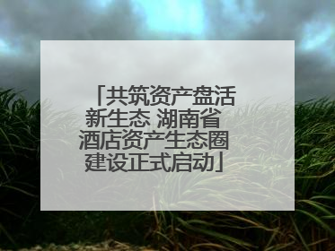 共筑资产盘活新生态 湖南省酒店资产生态圈建设正式启动