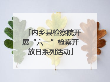 内乡县检察院开展“六一”检察开放日系列活动