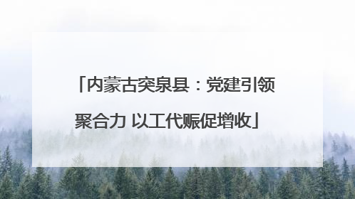 内蒙古突泉县：党建引领聚合力 以工代赈促增收