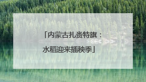 内蒙古扎赉特旗：水稻迎来插秧季