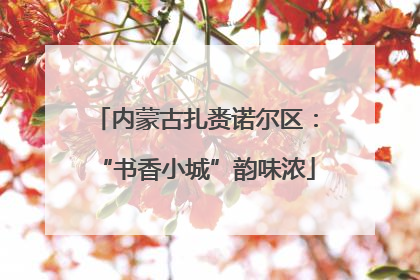 内蒙古扎赉诺尔区：“书香小城”韵味浓
