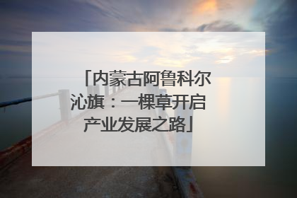 内蒙古阿鲁科尔沁旗：一棵草开启产业发展之路