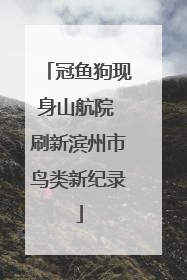 冠鱼狗现身山航院 刷新滨州市鸟类新纪录