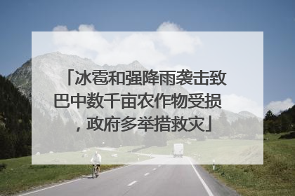 冰雹和强降雨袭击致巴中数千亩农作物受损，政府多举措救灾